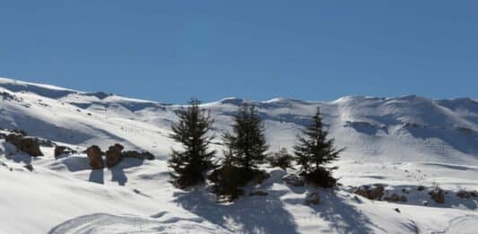 Le guide pour skier au Liban