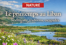 Le Liban au printemps : un renouveau naturel au-delà des tourments