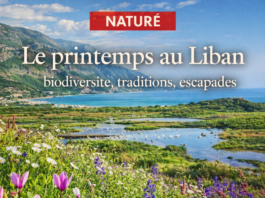 Le Liban au printemps : un renouveau naturel au-delà des tourments