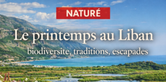 Le Liban au printemps : un renouveau naturel au-delà des tourments