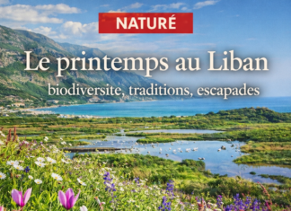 Le Liban au printemps : un renouveau naturel au-delà des tourments