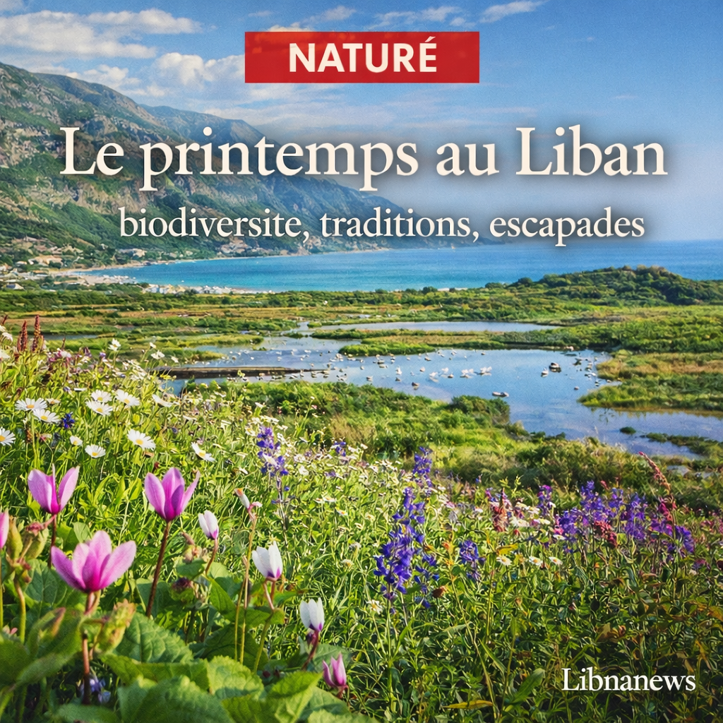 Le Liban au printemps : un renouveau naturel au-delà des tourments