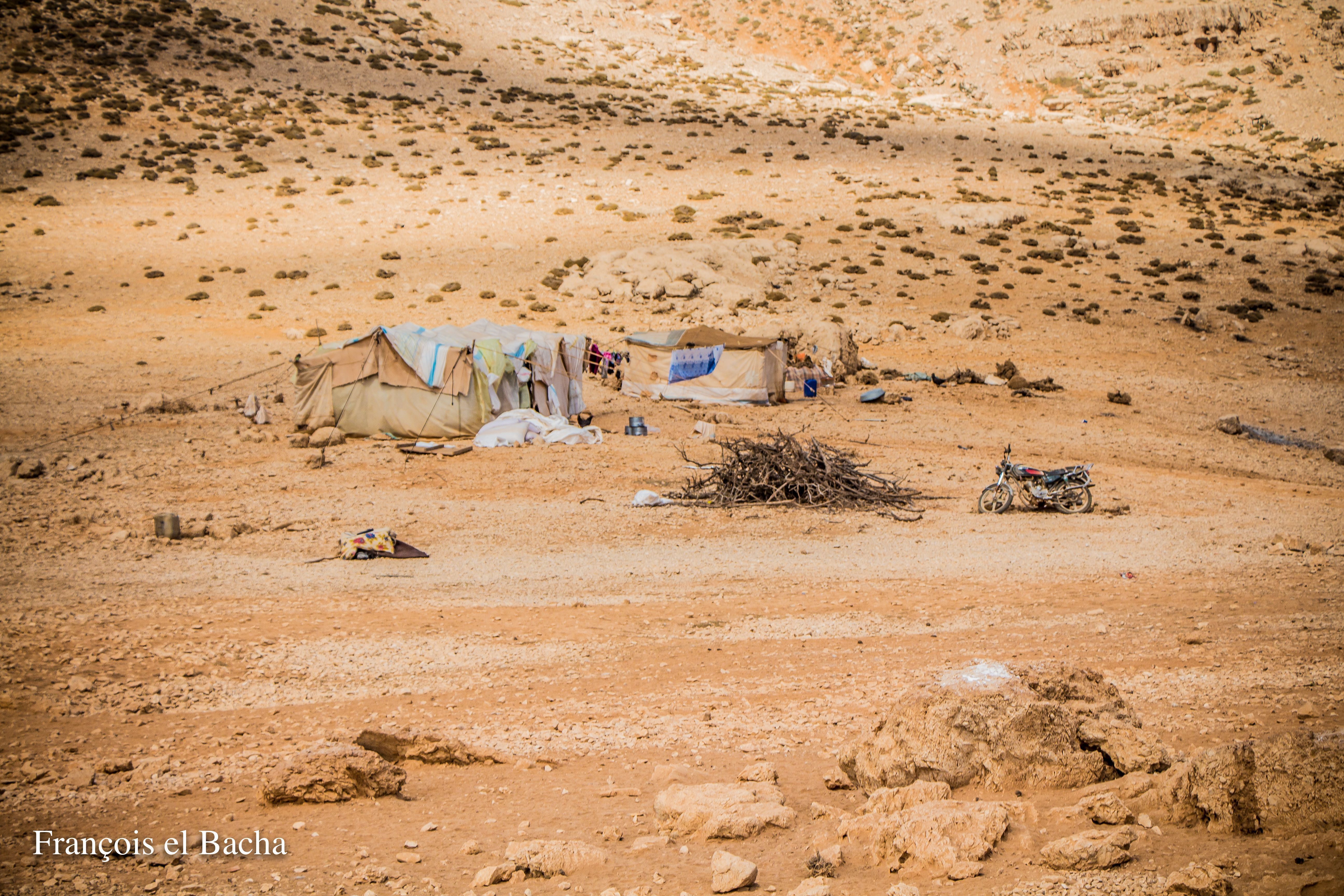 Scènes pastorales sur le chemin de randonnée menant à Kornet Saouda. Crédit Photo: François el Bacha, tous droits réservés.