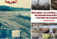 Sud Liban : Le littoral antique de Adloun saccagé pour « un port de plaisance »