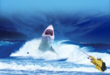 Requin d’Avril par Nasri Messarra Requin d'Avril par Nasri Messarra