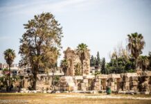 Liban/Patrimoine: L’Hippodrome Romain de Tyr Liban/Patrimoine: L'Hippodrome Romain de Tyr