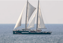 Le Rainbow Warrior de passage au Liban