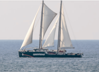 Le Rainbow Warrior de passage au Liban