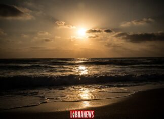 La FINUL assistera le Liban face à la marée noire