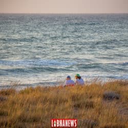 La présence des tortues marines au Liban, un patrimoine en péril