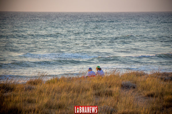 Expérience unique avec Mona Khalil et son complice Rami qui partagent avec nous et ses visiteurs sa passion, celle de la sauvegarde de la dernière plage hébergeant la ponte des tortues maritimes au Liban. Crédit Photo: François el Bacha pour Libnanews.com. Tous droits réservés.