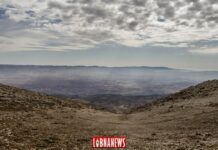 La plaine de la Békaa vue depuis les Cèdres. Crédit Photo: François el Bacha pour Libnanews.com. Tous droits réservés. 