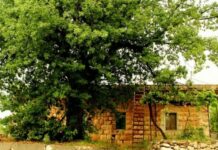 Source Photo: Ehmej.org