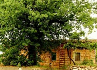 Source Photo: Ehmej.org