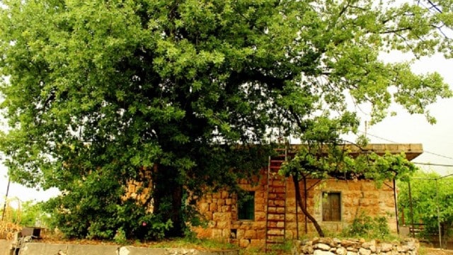 Source Photo: Ehmej.org