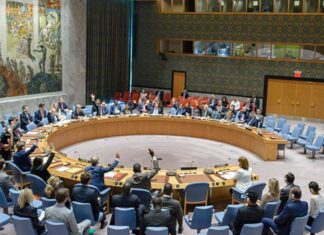 Le Conseil de Sécurité de l’ONU renouvelle le mandat de la FINUL Le Liban dépose une plainte contre Israël auprès du Conseil de sécurité des Nations unies
