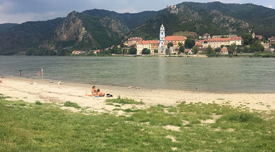 Les derniers jours de Vienne