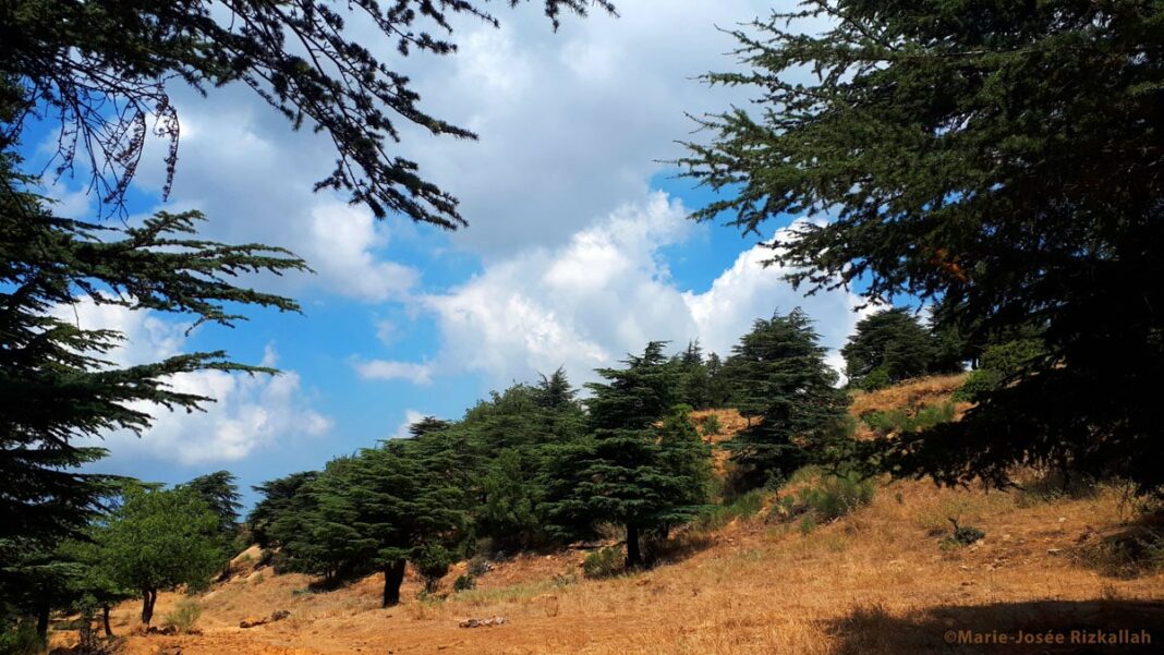 Trafic d’armes au Liban : Une cargaison destinée à des groupes salafistes signalée à Sabra