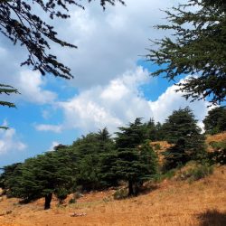 Nouvel incident à Qornet Sawda