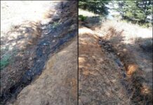 Des Libanais sans réserves lâchent leurs égouts au cœur d’une réserve naturelle au Liban Nord