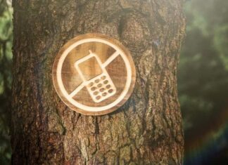 Internet : les bienfaits de la déconnexion