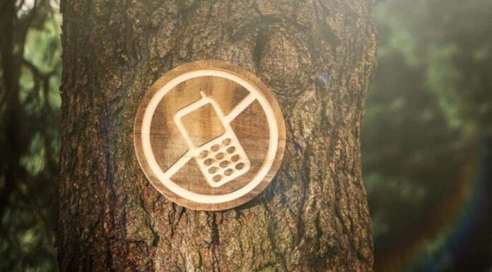 Internet : les bienfaits de la déconnexion