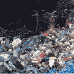 Liban: Le retour de la crise des ordures