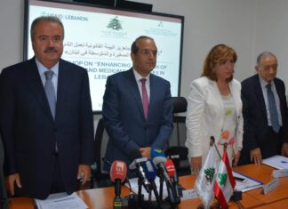 Générateurs : ce qu’il faut savoir des nouvelles régulations. La conférence de presse du Ministre de l'économie par intérim Raed Khoury. Crédit Photo: Dalati & Nohra