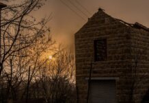 Automne 2018…. par Dr. Carine Chammas