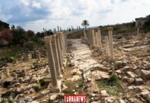 Liban/Tourisme: Une Virée à Tyr