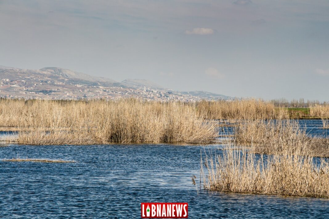 Des groupes armés liés au régime présents au Liban ?