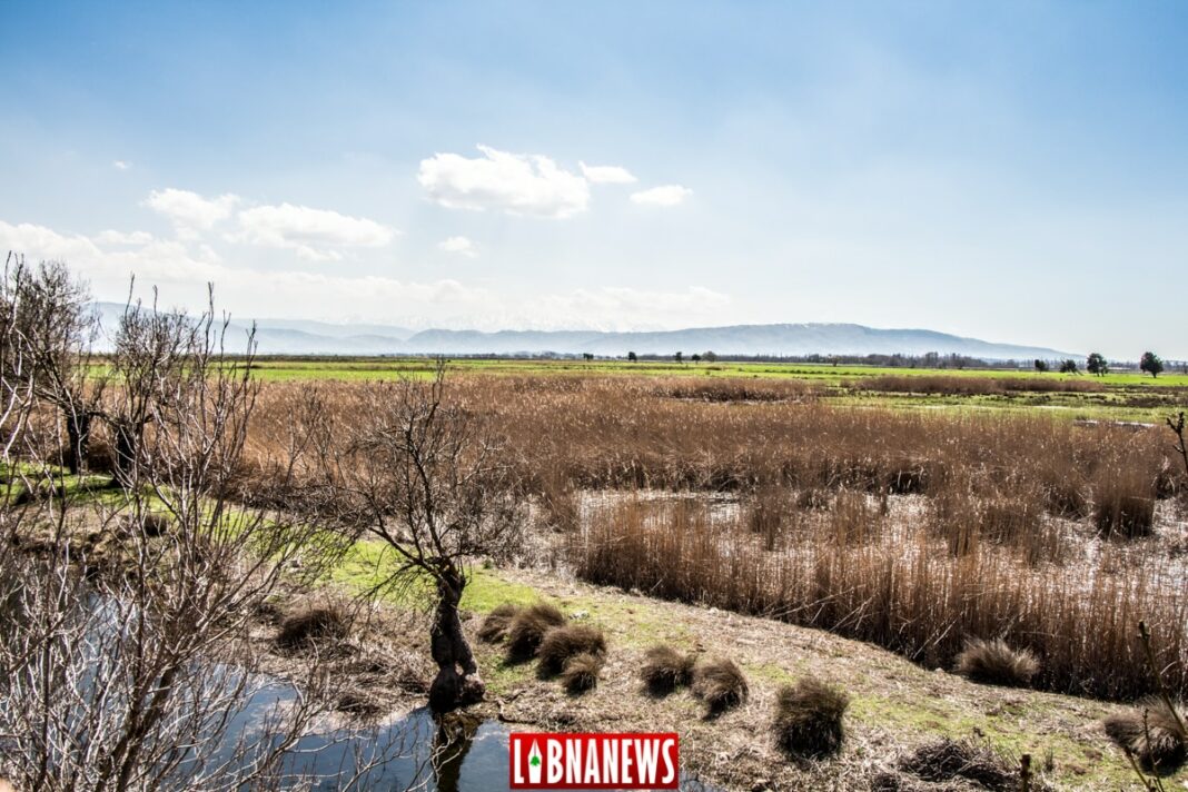 Gideon Saar annonce une prise de contrôle « temporaire » de la zone frontière syrienne par Israël