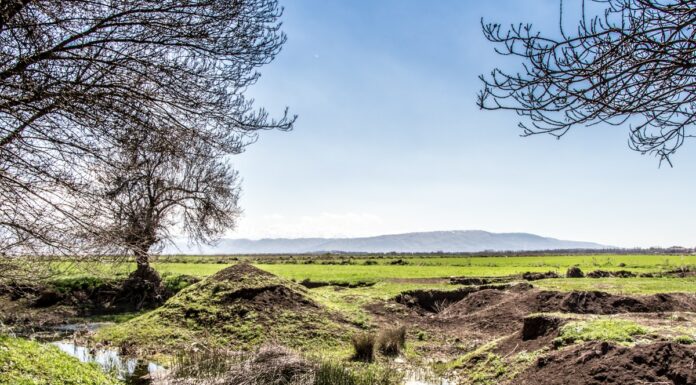 Focus: Zahlé, quand les carrières détruisent l’environnement et les communautés.