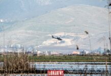 Les hélicoptères de l'armée libanaise interviennent contre les sauterelles
