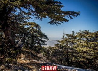 Líbano/Patrimonio: La Reserva Natural Chouf