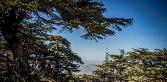Liban/Patrimoine : La réserve naturelle du Chouf