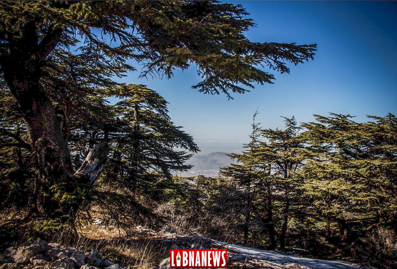 Liban/Patrimoine : La réserve naturelle du Chouf