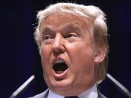 L’impeachment s’invite dans la course à la présidentielle américaine : que risque Donald Trump ?