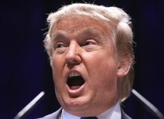 L’impeachment s’invite dans la course à la présidentielle américaine : que risque Donald Trump ?
