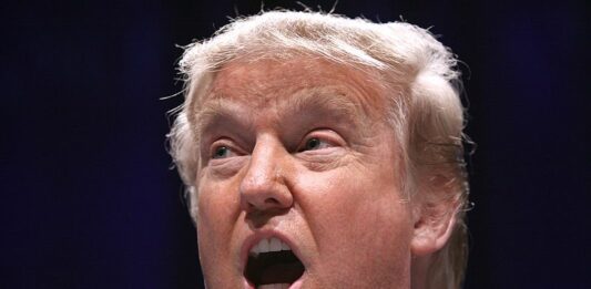L’impeachment s’invite dans la course à la présidentielle américaine : que risque Donald Trump ?