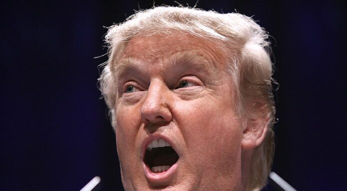 L’impeachment s’invite dans la course à la présidentielle américaine : que risque Donald Trump ?