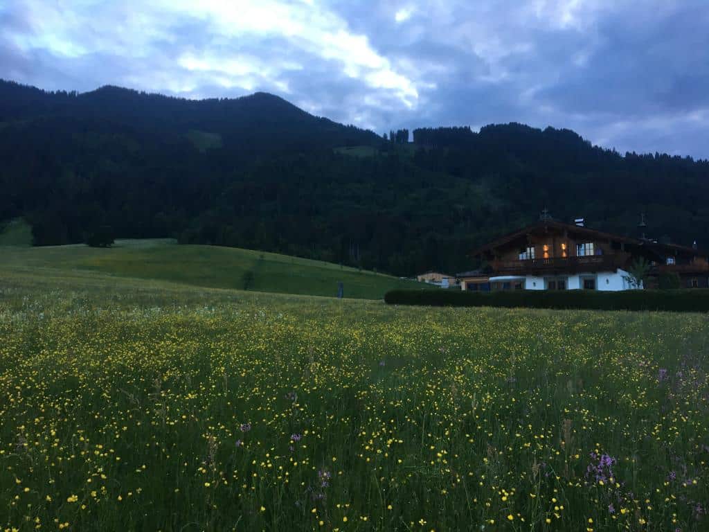 Hamouche diainaisement