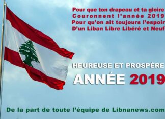 Bonne et heureuse année 2019