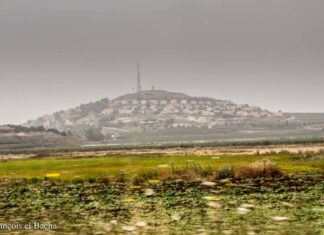 Liban/Israël L’ONU confirme la découverte de tunnels à proximité de la ligne bleue L'accord de cessez-le-feu entre Israël et le Hezbollah et ses implications sur le terrain