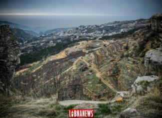 Crédit photo: François el Bacha. Tous droits réservés. Visitez mon blog: http://larabio.com