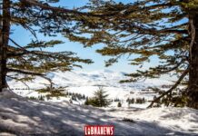 Liban: Neige prévue à partir de 1400 mètres demain