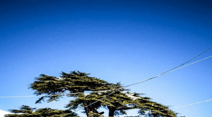 Le gouvernement et la Banque du Liban mettent en place le fond "Oxygène du Cèdre" face à la crise économique