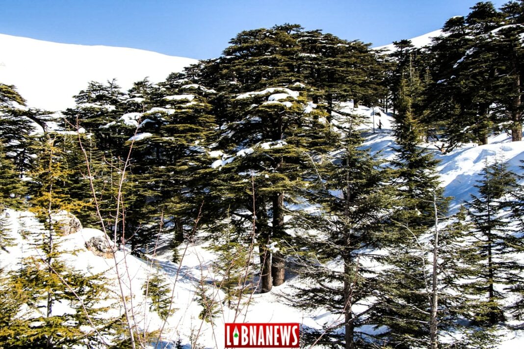 في الموسيقى: لبنان في الأغنية الفرنسية – 08