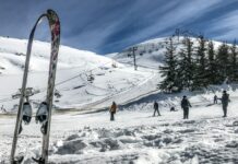 Libano/turismo: sciare a Kfardebian