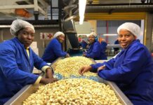 Philip Moufarrige conquiert l’Afrique du Sud avec Ambermacs